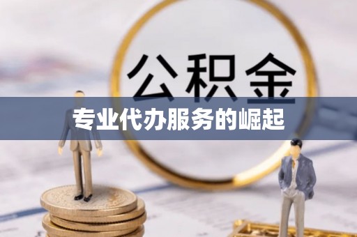 朔城专业代办服务的崛起