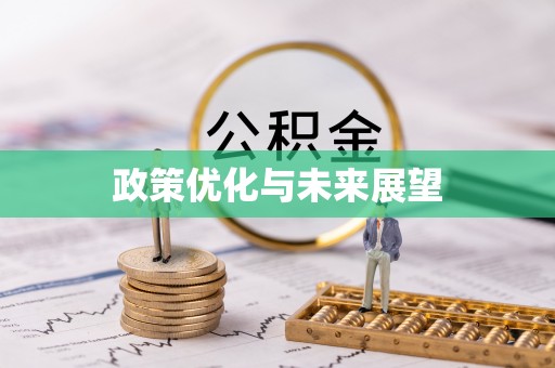 朔城政策优化与未来展望