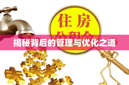 朔城揭秘背后的管理与优化之道